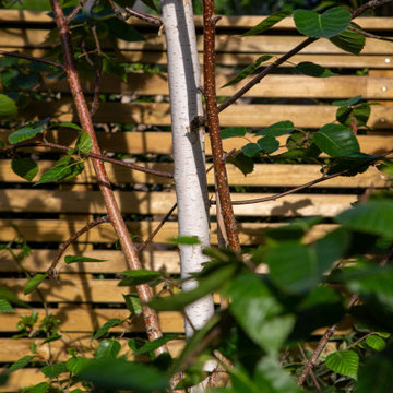 E8 Urban Sanctuary Garden