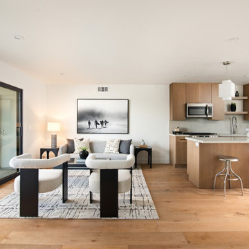 Pacific Beach New Build