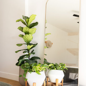 Scandi Sanctuary