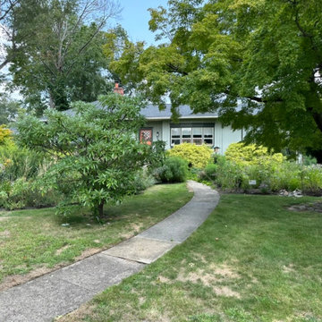 Water Management Habitat Rain Garden
