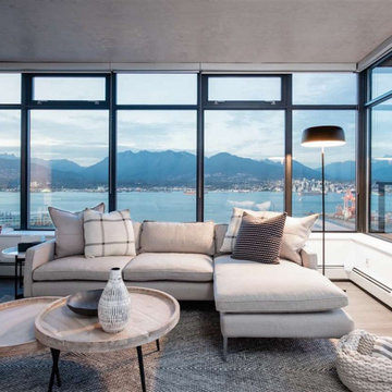 Living Room - Transitional