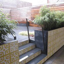 Landscape Ideas