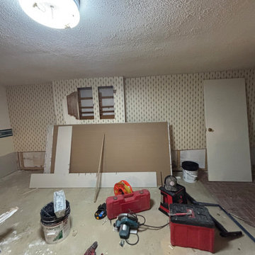 Somerdale, Basement Remodel
