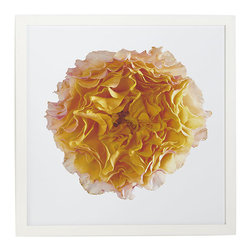 Peony Bloom Wall Art - Yellow - Artwork