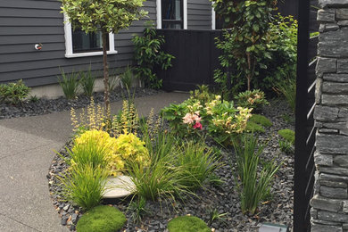 Photo of a garden in Christchurch.