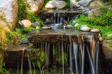 Photo of a mid-sized courtyard stone pond in Seattle.