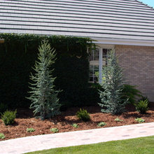 Exterior Ideas