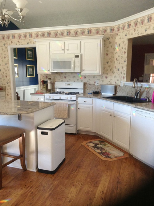 Need help with kitchen What color should I paint them?