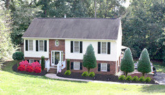 Need help with Shade & Sun Garden