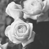 DOaa Ahmed's photo