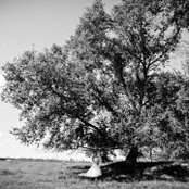 Annick Grafs billede