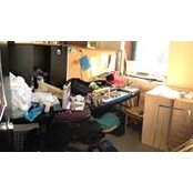 Josh Koenekoop's photo