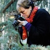 Michele Parrys billede