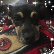 Leigha Banderas's photo