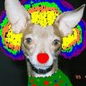 Heather Ostergard's photo