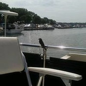 Martina Wilson's photo