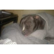 Blake Hildebrand's photo