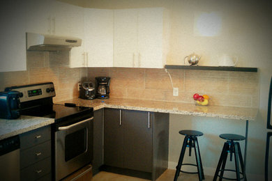 Example of a minimalist kitchen design in Ottawa