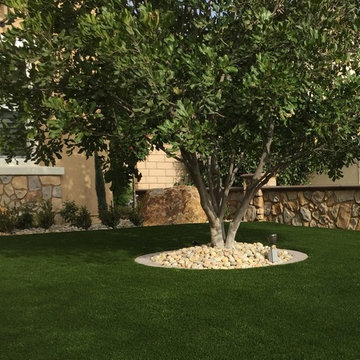 Eco Olive 80 in Corona, CA