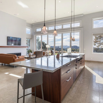Panoramic Doors