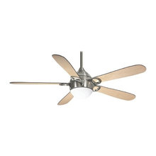 Ceiling fans
