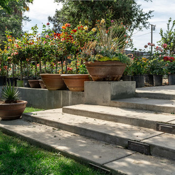 The Gardens
