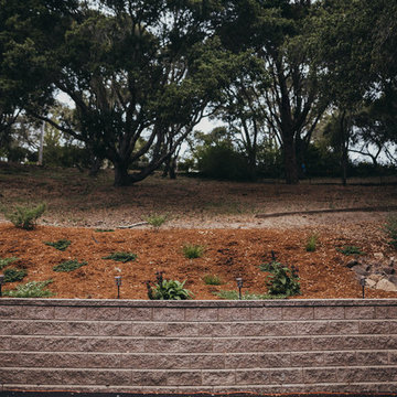 Aptos Estate
