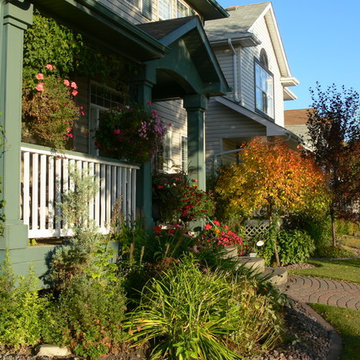 Cottage Garden - Small yard