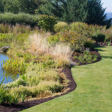 Pond