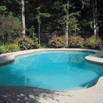 Backyard Custom Pool