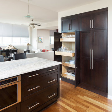 South Loop Kitchen Remodeling
