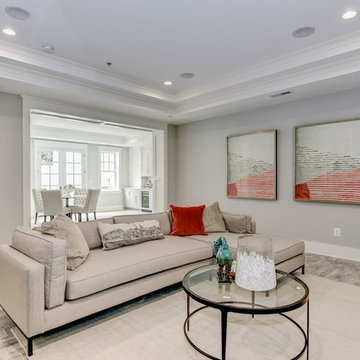 Basement Recreation Room