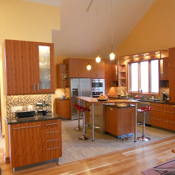 Contemporary Kitchens