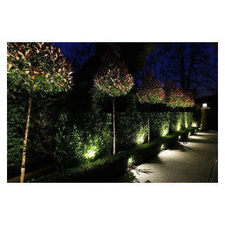 shrub lights