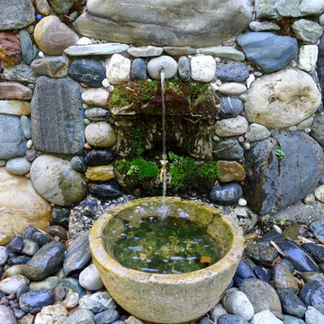 My Garden