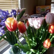 Patricia Sarka's photo