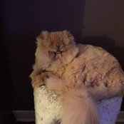 Darlene McGimpsey's photo