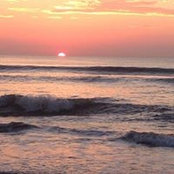 Michelle MacDonald's photo