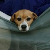 Cory Borkhoff's photo