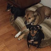 Michelle Ball's photo