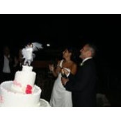 Alessio Musella's photo