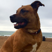 Sasha Rodgers's photo