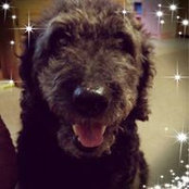 Amber's photo