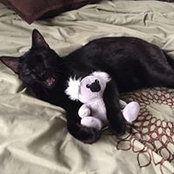 Ivy Pomeroy's photo