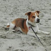 Silvana Kohl's photo
