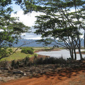 Heidi Kandathil's photo