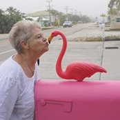 Foto von Patti Cox