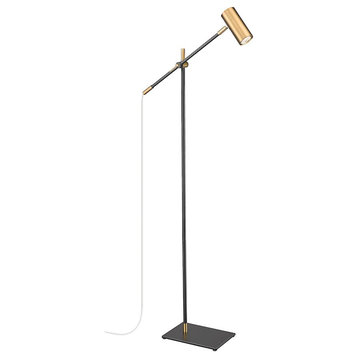 Z-Lite Calumet 1-Light Floor Lamp, Black + Olde Brass/Olde Brass 814FL-MB-OBR