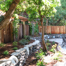 Landscape Ideas