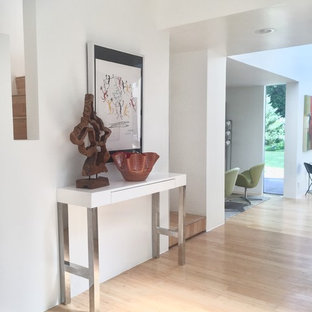 ニューヨークのミッドセンチュリースタイルのおしゃれな玄関ロビー (白い壁、竹フローリング、ベージュの床) の写真